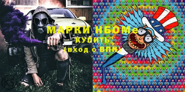 шишки Каменногорск
