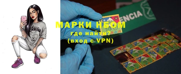 гидра Каменка